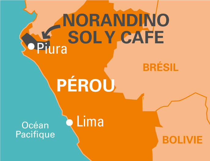 Carte coopÃ©ratives Norandino et Sol y Cafe - - Chocolat au lait avec noisettes entiÃ¨res